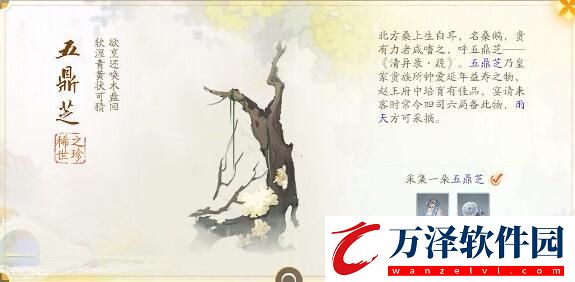 射雕趙王府夢(mèng)華錄收集攻略