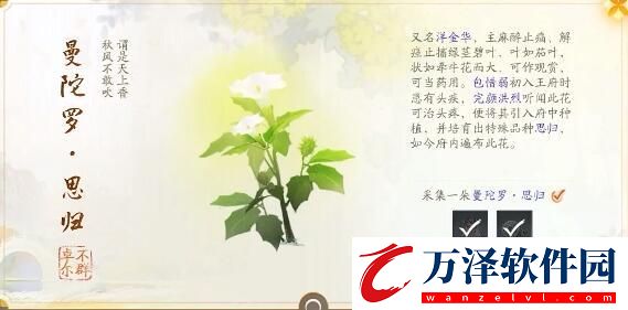射雕趙王府夢(mèng)華錄收集攻略