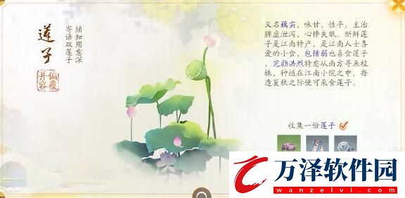 射雕趙王府夢(mèng)華錄收集攻略