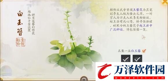 射雕趙王府夢(mèng)華錄收集攻略