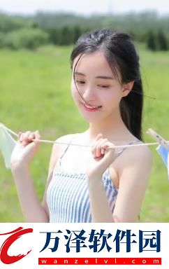 Web成品站