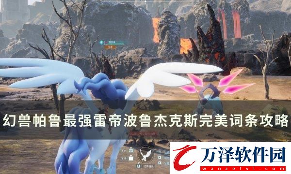 幻獸帕魯雷帝波魯杰克斯怎么配
