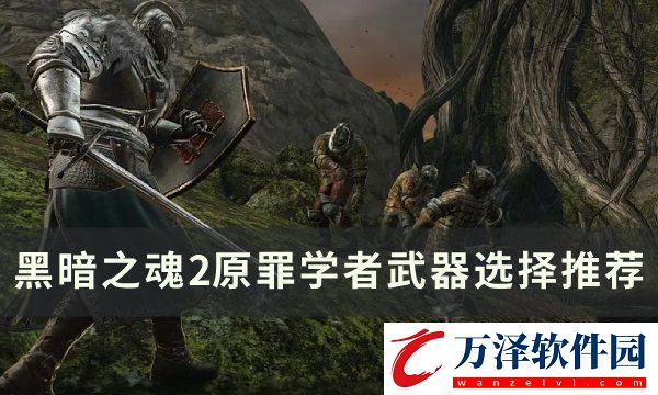 黑暗之魂2原罪學(xué)者武器怎么選