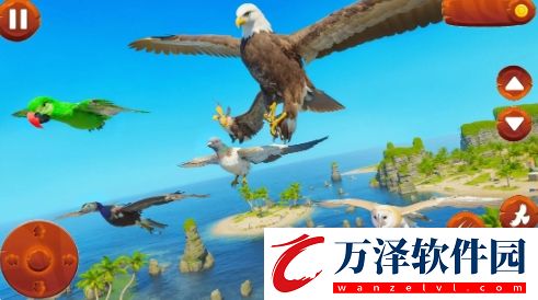 野生鳥類模擬器