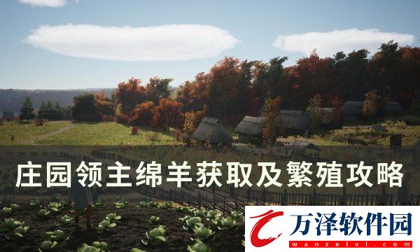 莊園領主綿羊怎么獲得