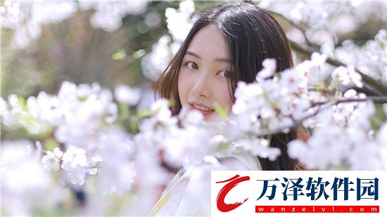 國(guó)產(chǎn)射頻放大器芯片AG50
