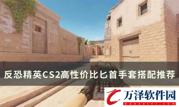 反恐精英CS2高性價(jià)比手套匕首怎么搭配