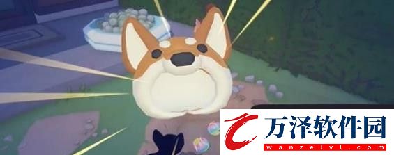 大城小貓2024