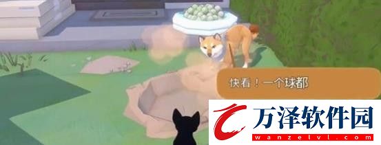 大城小貓2024