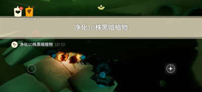 光遇每日任務(wù)在哪里查看10月11日