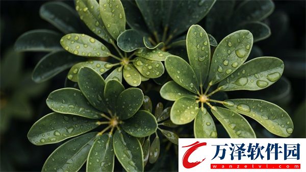 九淺一深和左三右三如何搭配方法有哪些