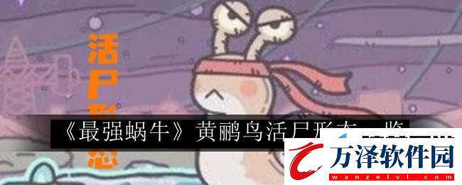 最強(qiáng)蝸牛黃鸝鳥活尸形態(tài)最強(qiáng)蝸牛黃鸝鳥活尸形態(tài)一覽