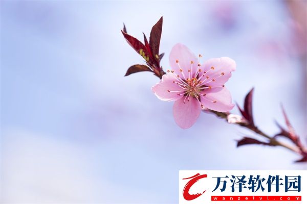 晚上父母房間有黏水聲是怎么了