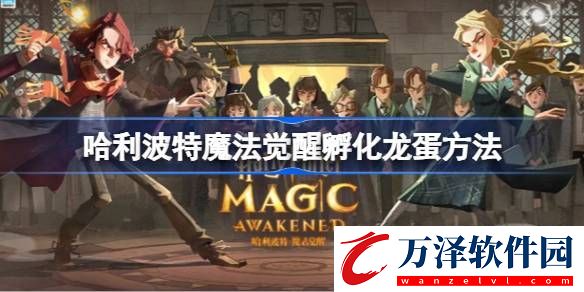 哈利波特魔法覺醒孵化龍蛋方法