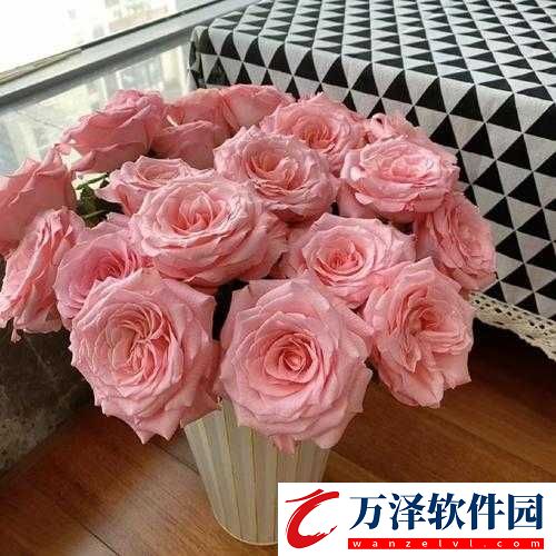 戰(zhàn)國(guó)時(shí)代秘籍精華解析