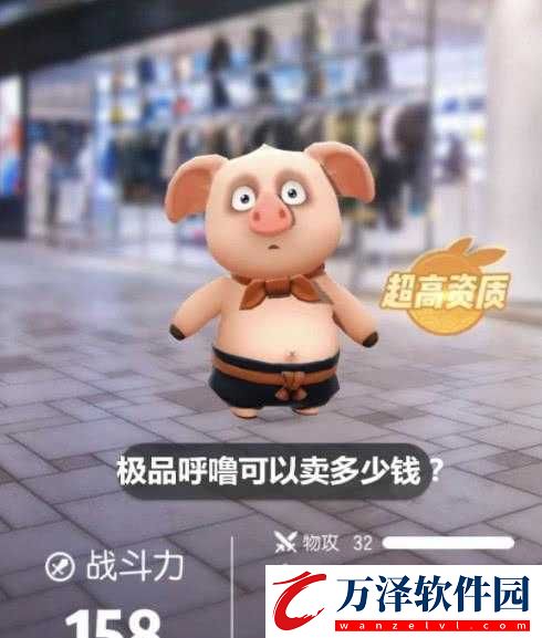 小呼嚕資質(zhì)如何
