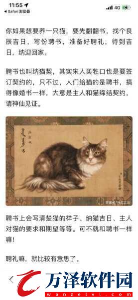 宋代養(yǎng)貓要下聘禮嗎